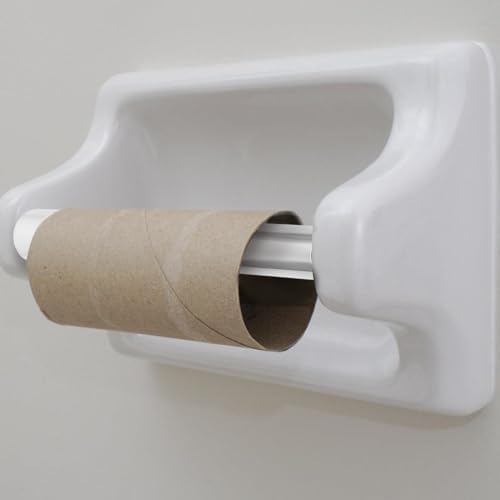 DOITOOL Toilet Paper Holder Replacement Rod - Spring Style Shaft Silver 649 Inch