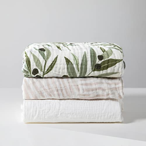 Babyletto Organic Cotton Crib Sheet - Olive Branches