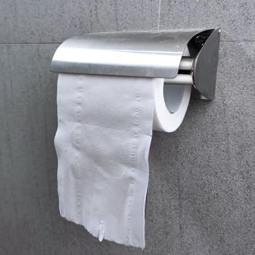 DOITOOL Toilet Paper Holder Replacement Rod - Spring Style Shaft Silver 649 Inch