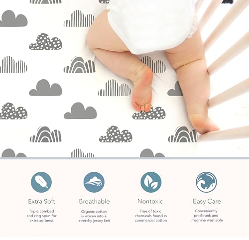 Cambria Baby Organic Cotton Fitted Sheets for Crib and Toddler Mattresses