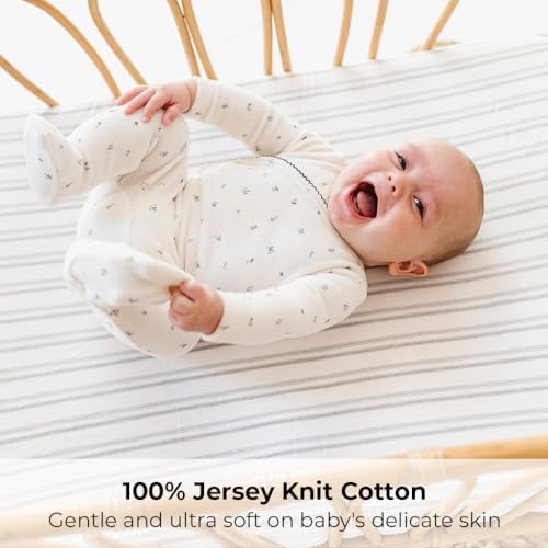 Elys Co Bassinet Sheets 2 Pack Blue Dragonflies Stripes