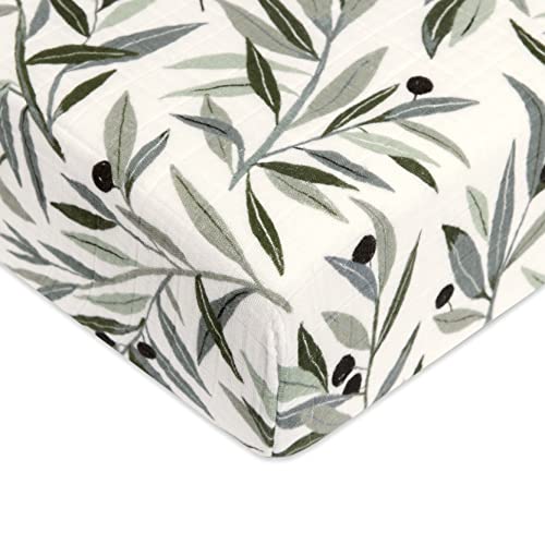 Babyletto Organic Cotton Crib Sheet - Olive Branches