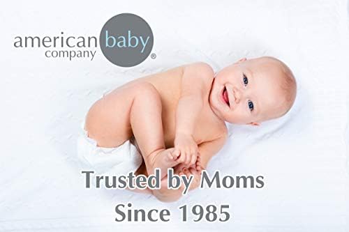American Baby Company Fitted Mini Crib Sheet 24 x 38