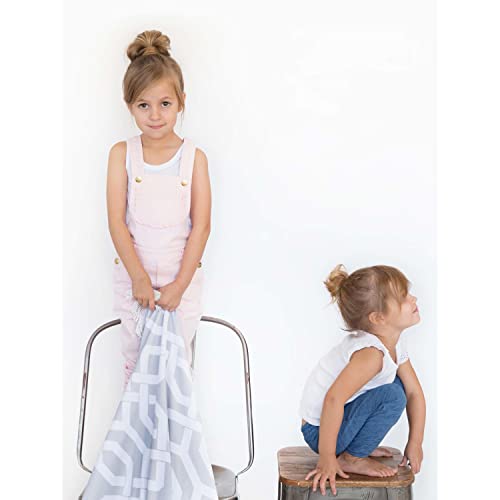Little Giraffe Bliss Windowpane Blanket 30x40 Silver