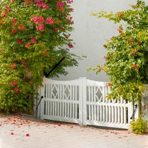 HOME MASTER HARDWARE Self Closing Gate Spring 2 Pack Black